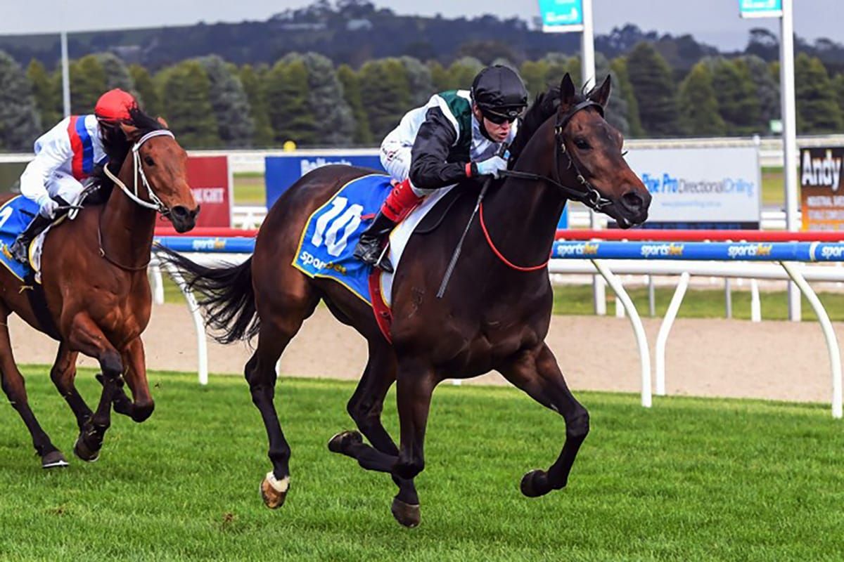 Mr Brightside looking to bounce back at Flemington