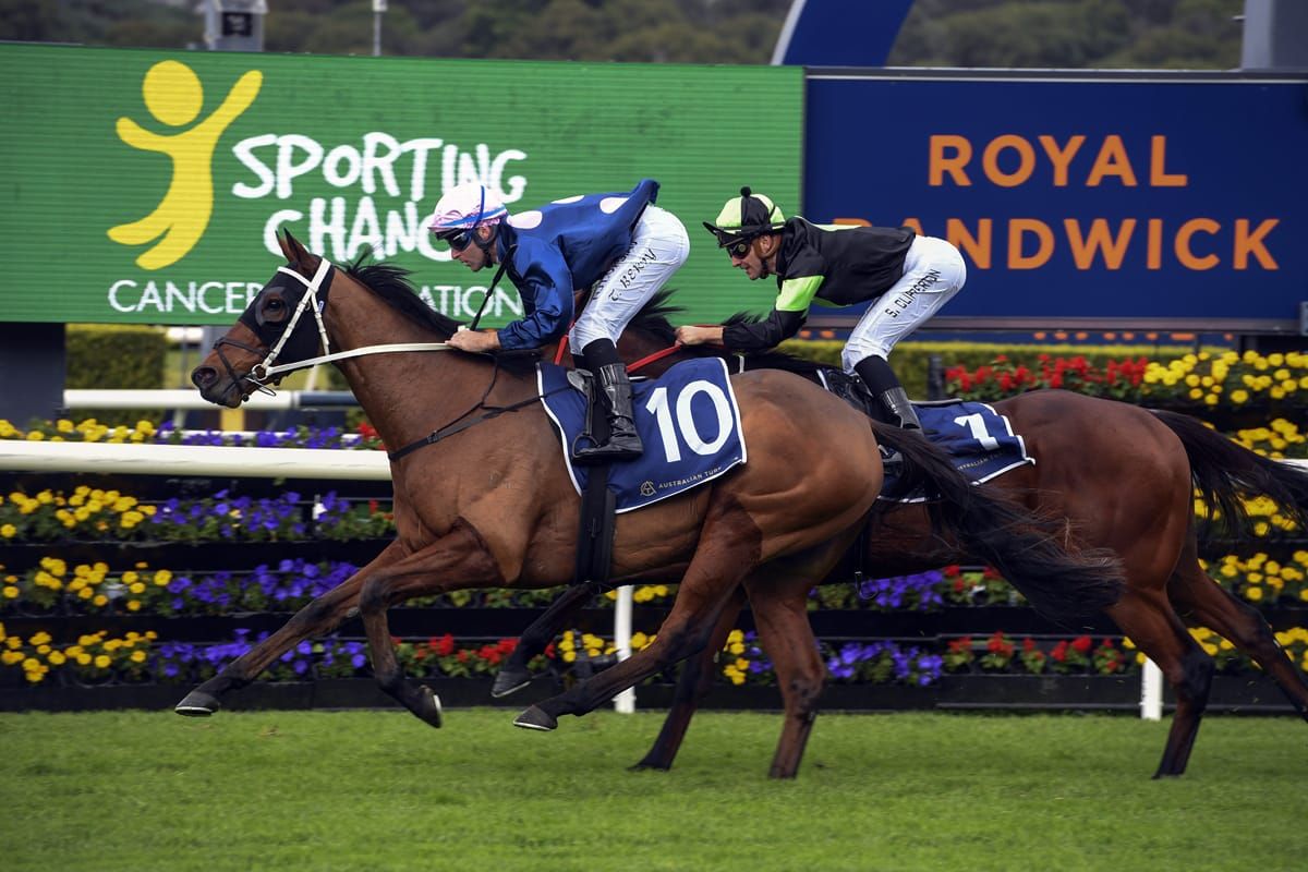Exciting spring is instore for Thurlow