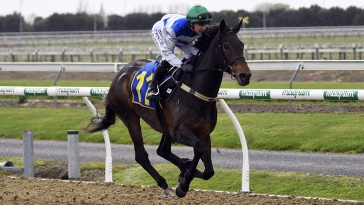 Ruakaka is to set Pearl on Group One path