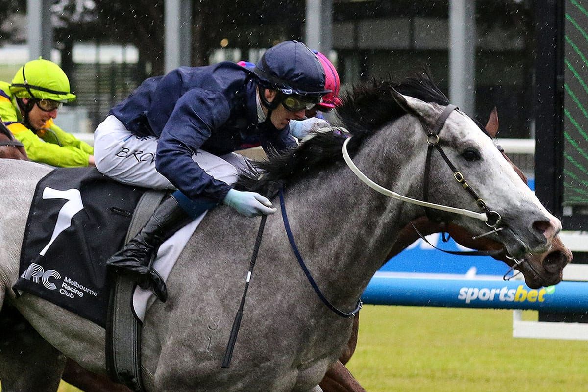 Public Attention out for revenge at Caulfield