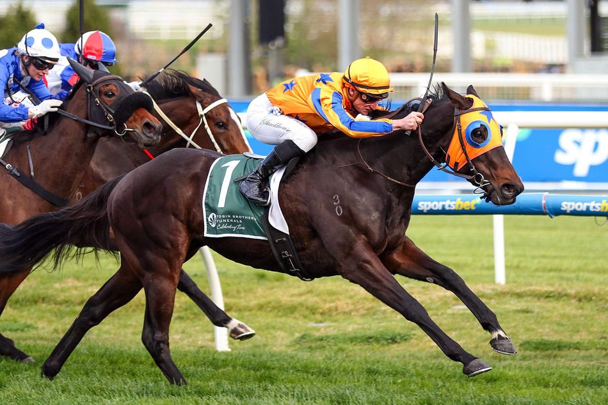 Te Akau out in force at Flemington