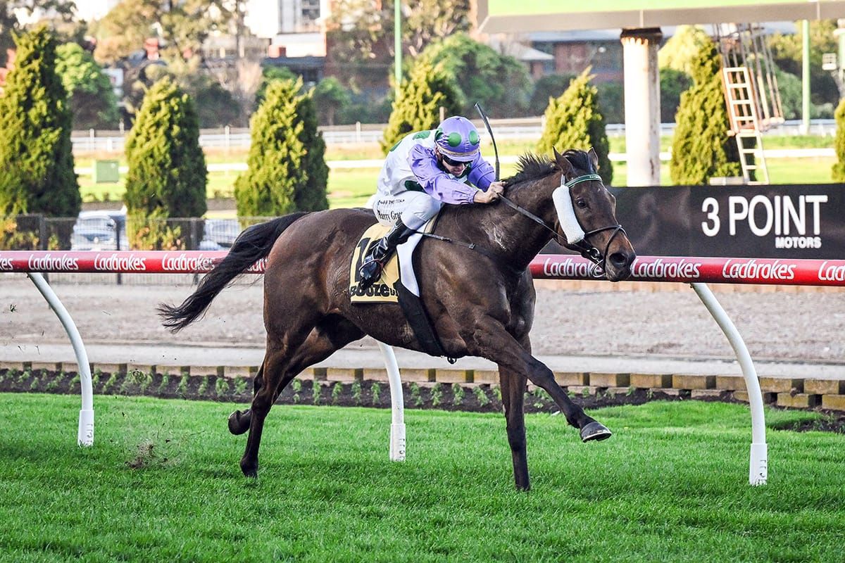 The journey Rolls on for Aussie raider
