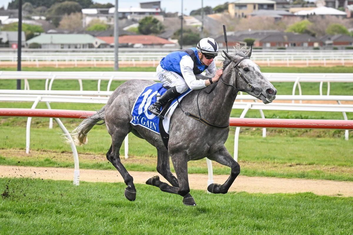 Roca and Prebble to take on HQ