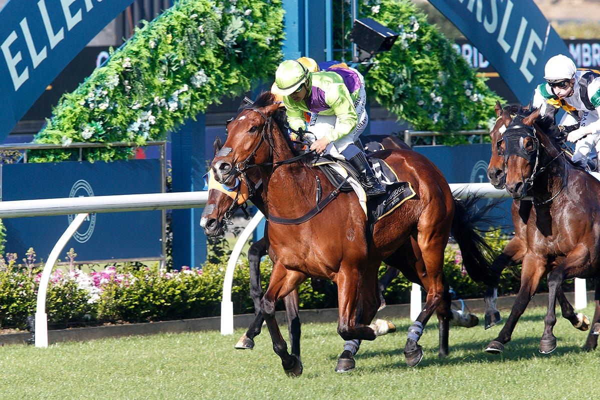 Shamus springs major upset in Ellerslie feature