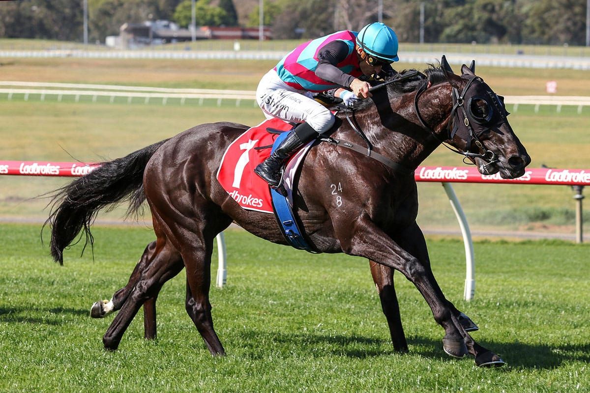 Antino primed for a bold Toorak assault.