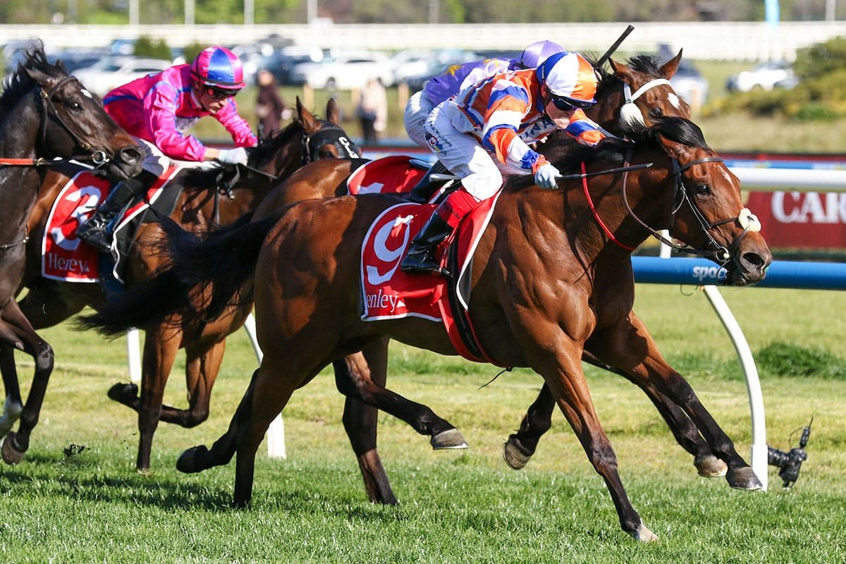 Bellatrix Star downs older Schillaci rivals