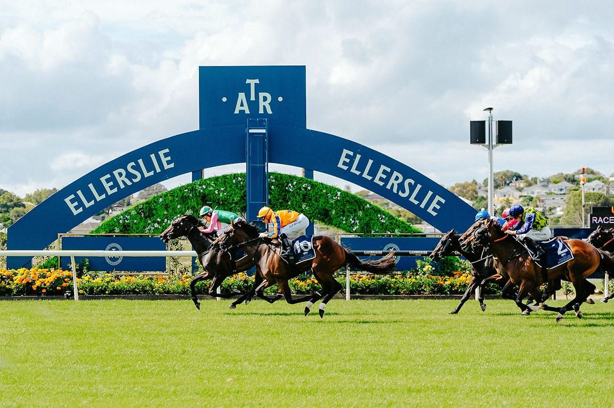 The Trans-Tasman racing series unite