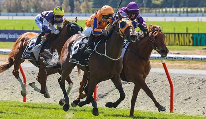 Riordan ready for his return to New Zealand