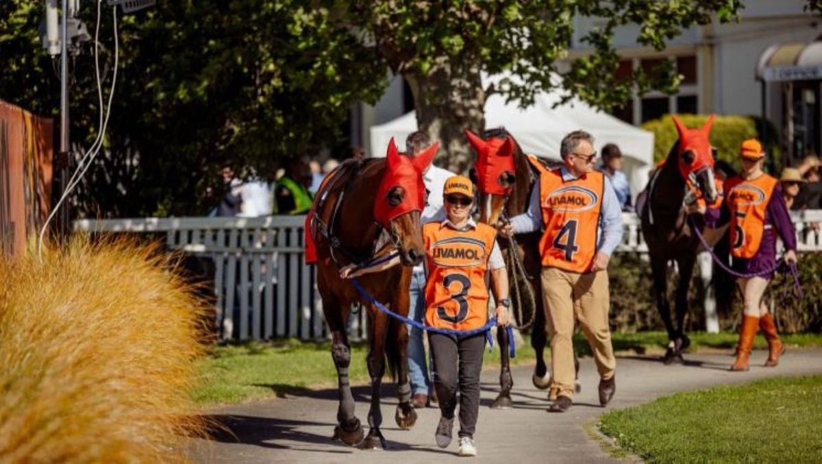 Livamol Classic Meeting to Move to Te Rapa