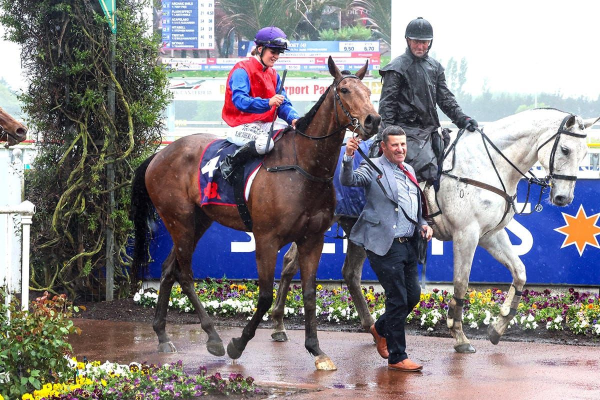 He's Lucid is a 2000 Guineas contender at Riccarton