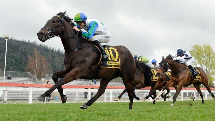 History Made With First Slot Filled for NZB Kiwi
