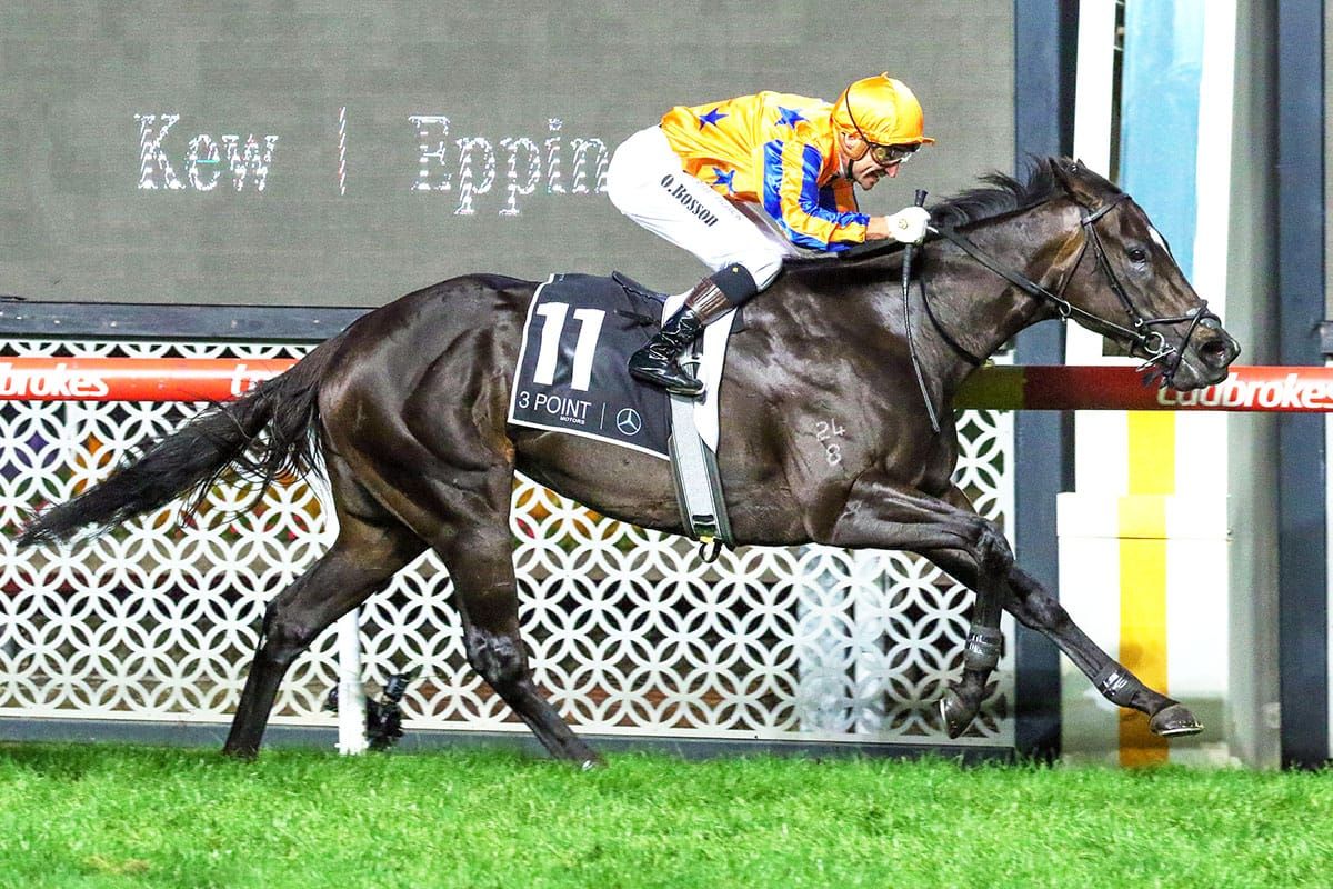 Champion sprinter Imperatriz recognised with Hall of Fame induction