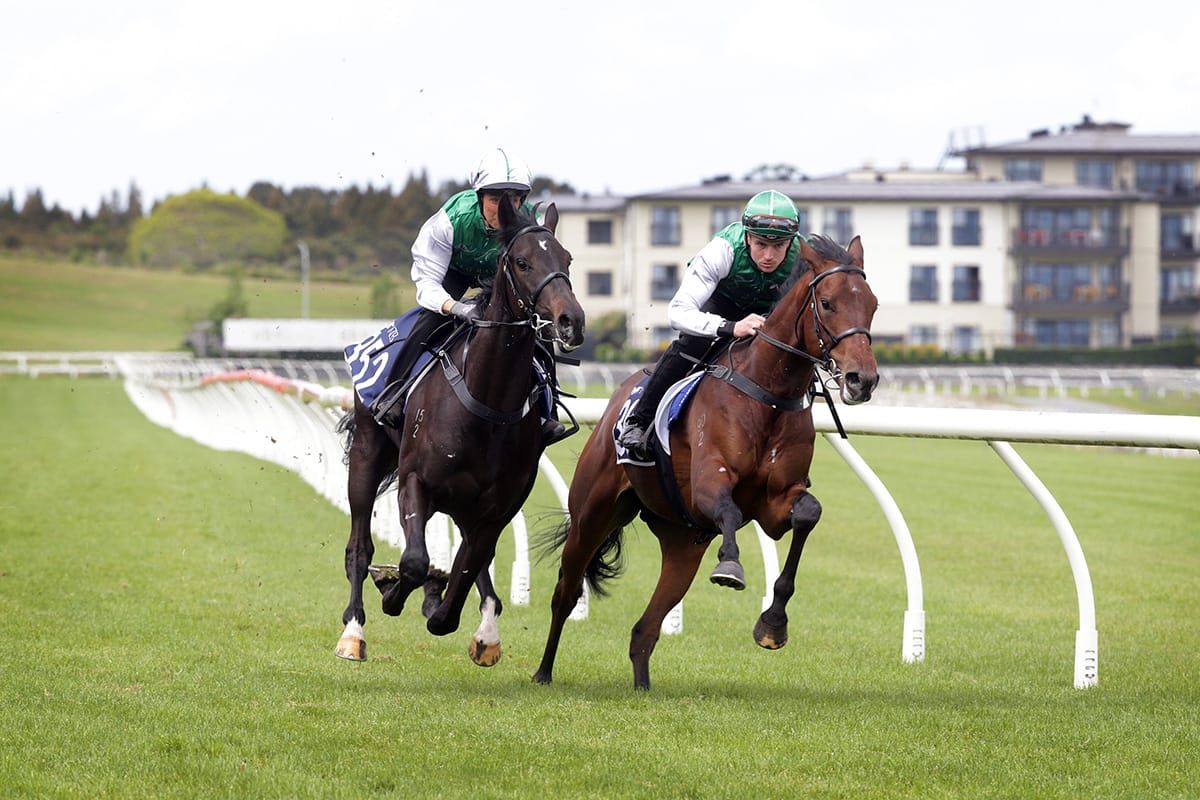 2024 Ready to Run Sale Breeze Ups - Full Broadcast