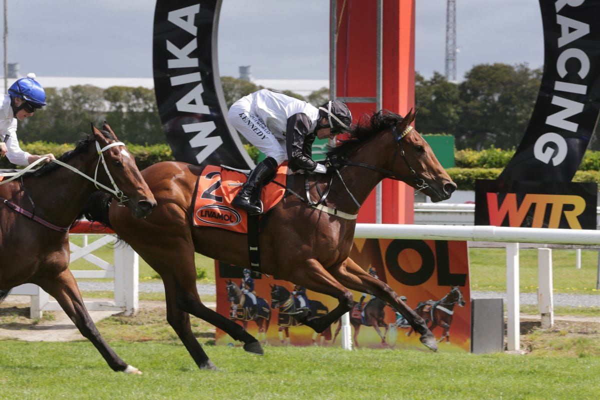 Lux Libertas continues rapid rise