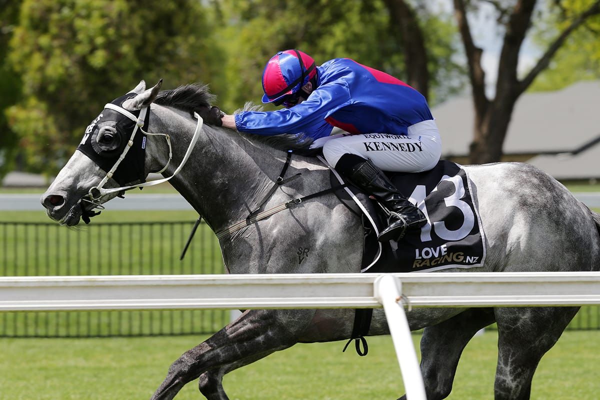 Nest Egg awaits traveling companions for the journey to Riccarton