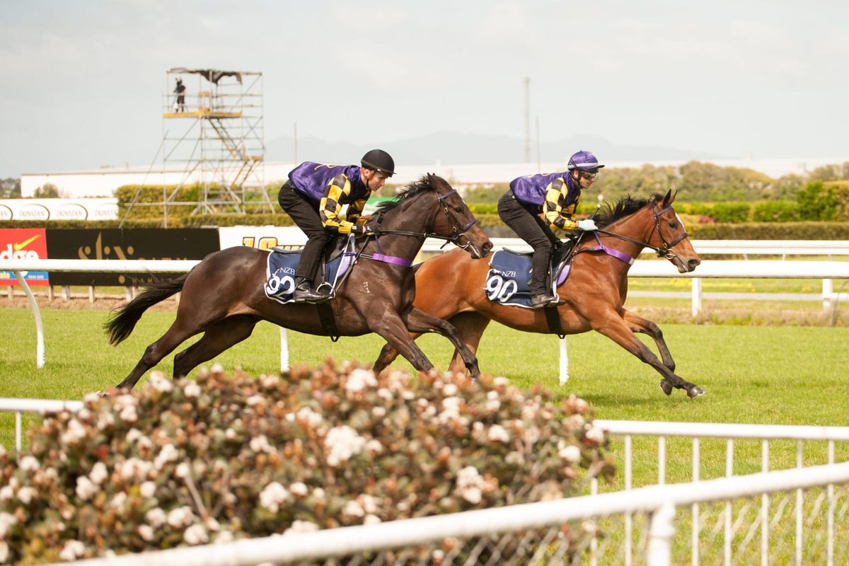 2YO's Scheduled to Breeze Up Next Week