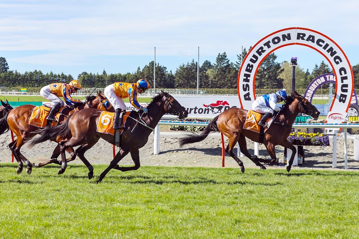Three-year-old features await Pike fillies