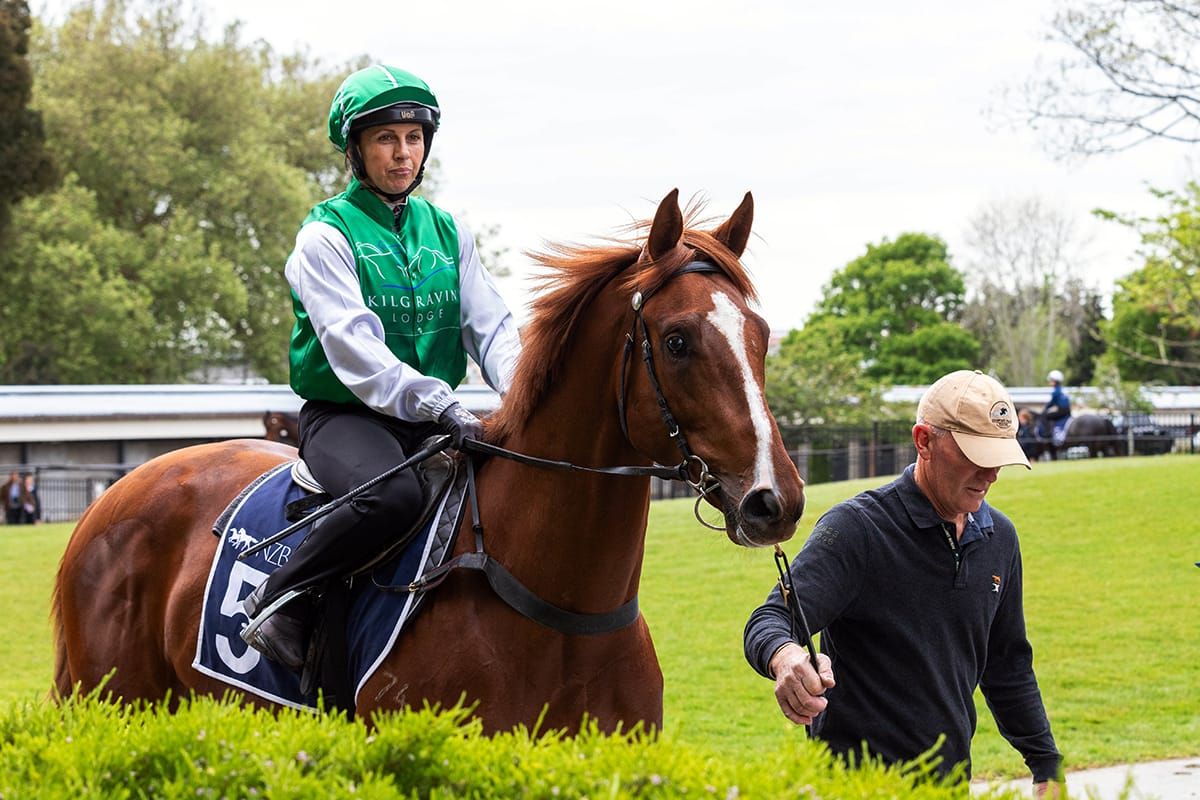 Breeze Up Footage Now Available to View Online