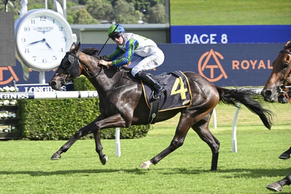 Waihaha Falls Poised for New Zealand Debut