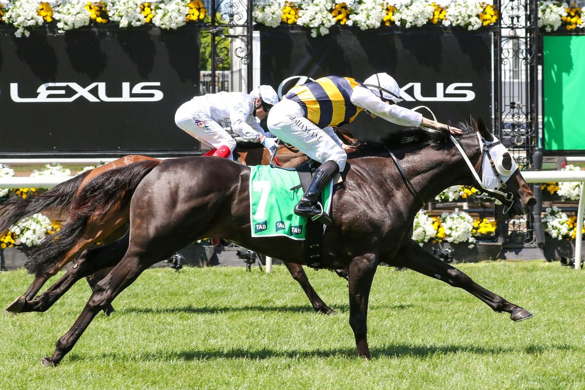 Price maintains faith in Warmonger