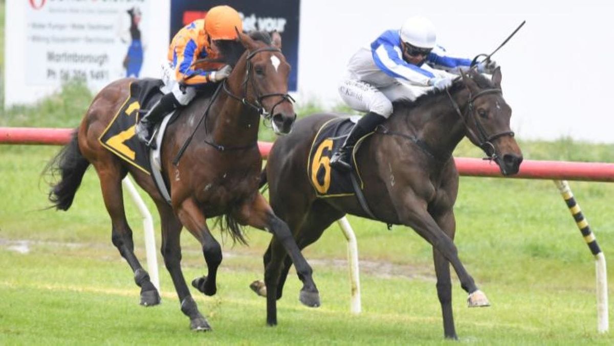 Abbakiss on the board at Tauherenikau