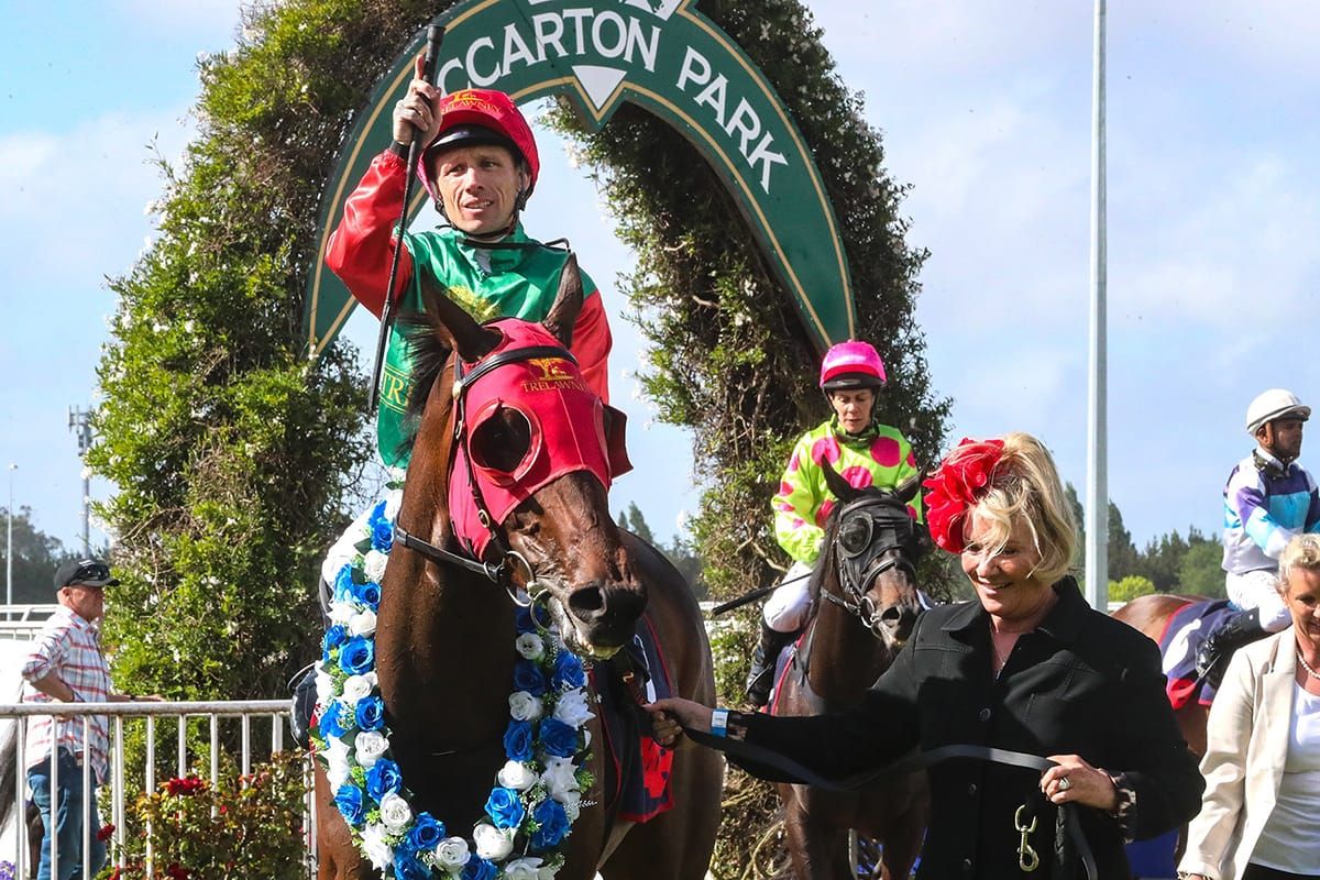 Acquarello Perfectly Executes Stakes Plan