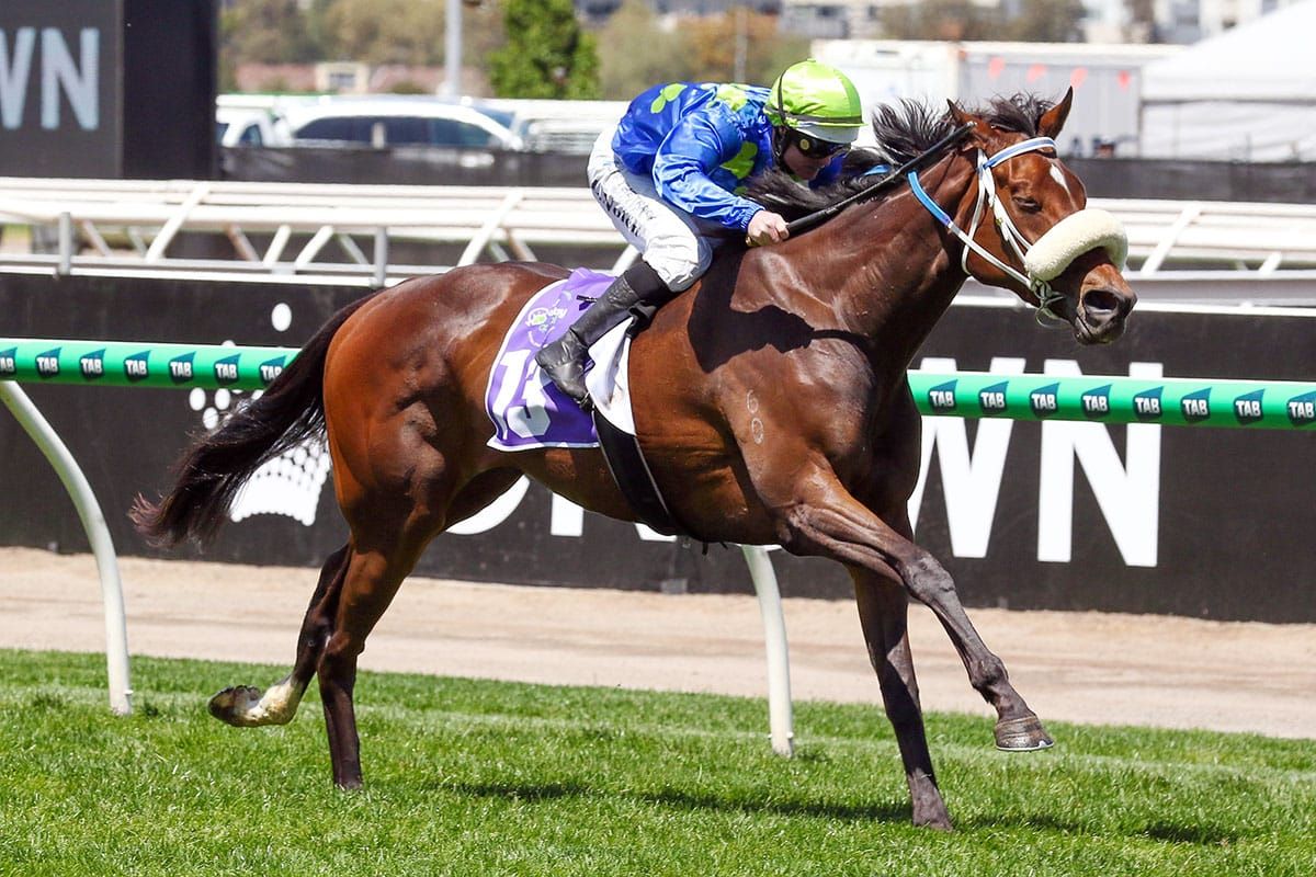 Emerging mare heads Kiwi-bred trifecta on Oaks Day