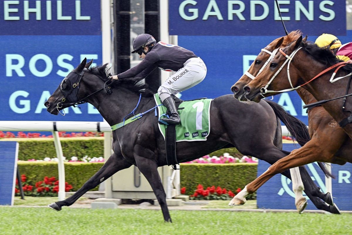 Elettrica too tough under top weight