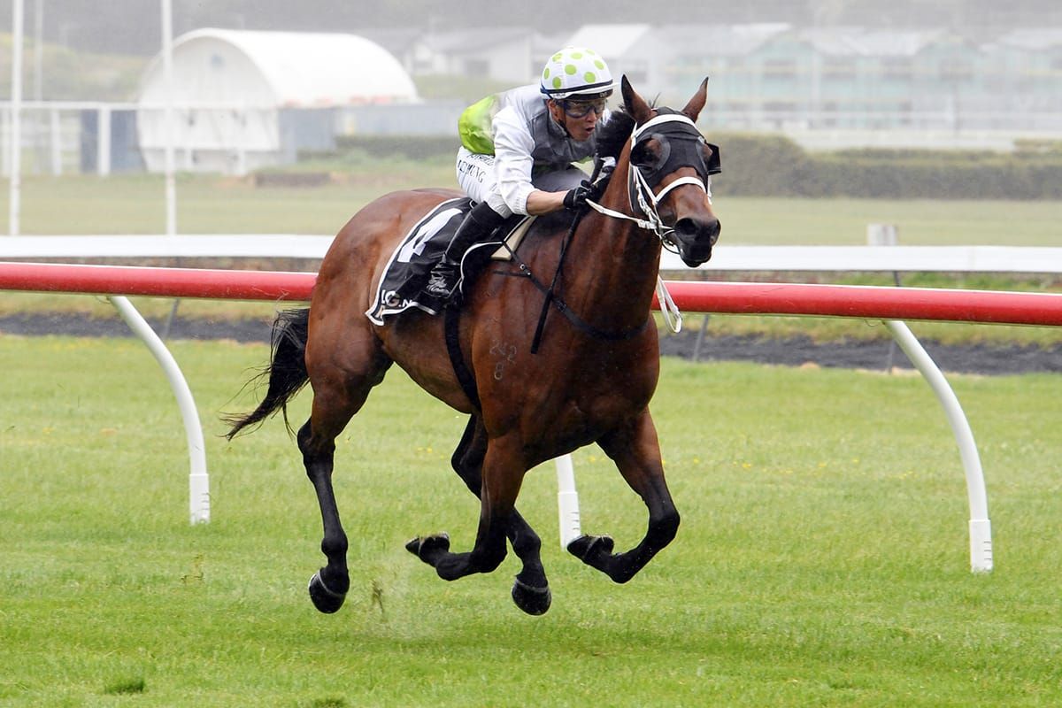 Mare set to overcome a few hurdles ahead of Telegraph test