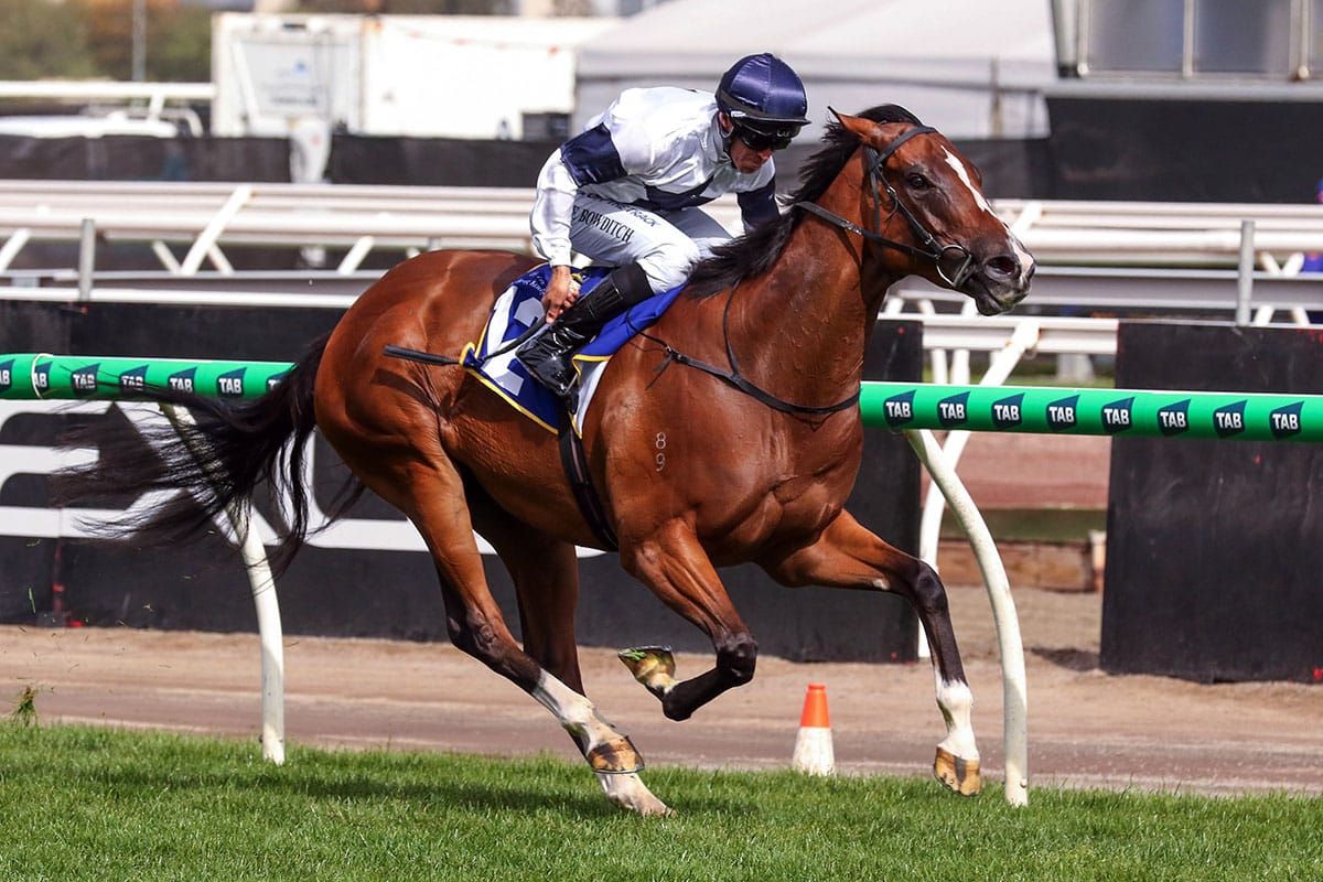 Fancify hits new high at Flemington
