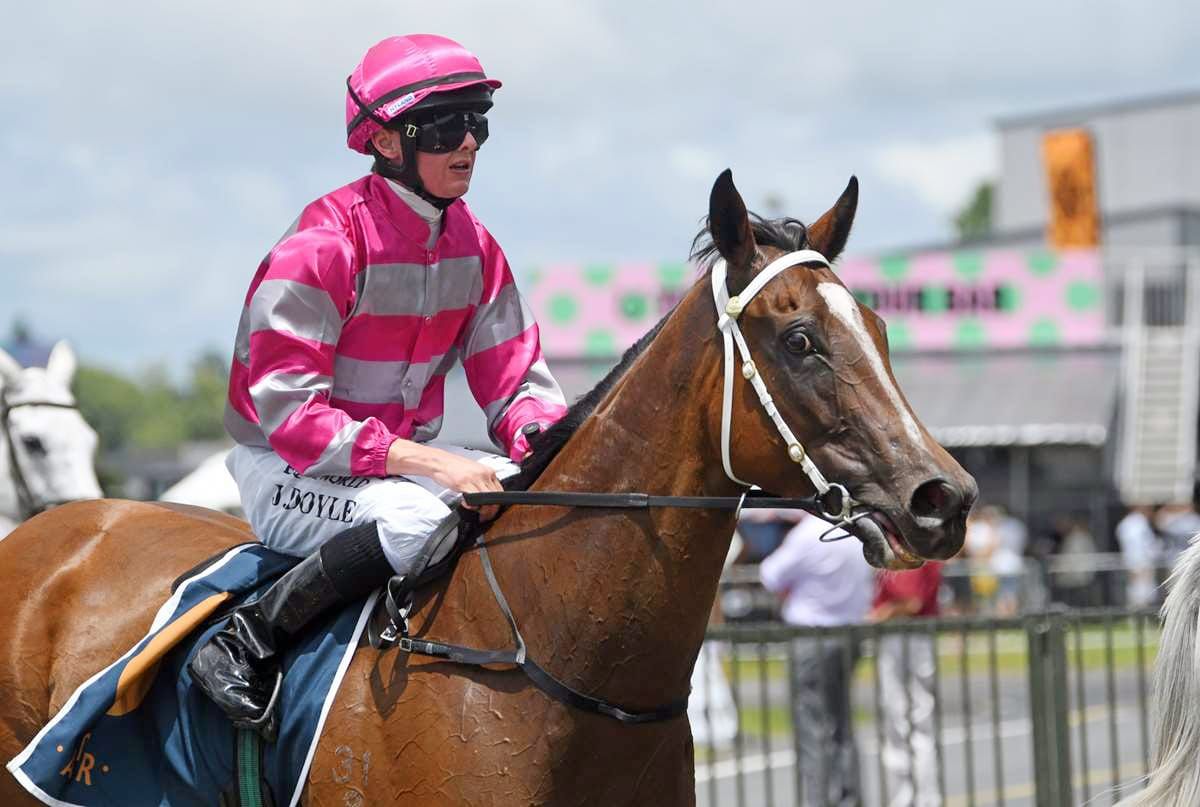 Smart Sprinting Mare Targets Major Races Ahead
