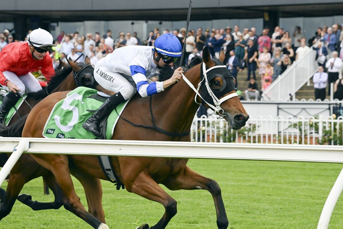 Kadavar showcases staying credentials