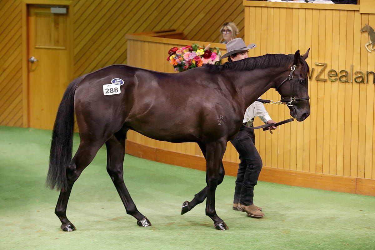 Ormsby pulls off stunning pinhooking result