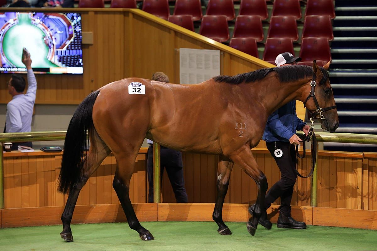 Yulong secures I Am Invincible colt