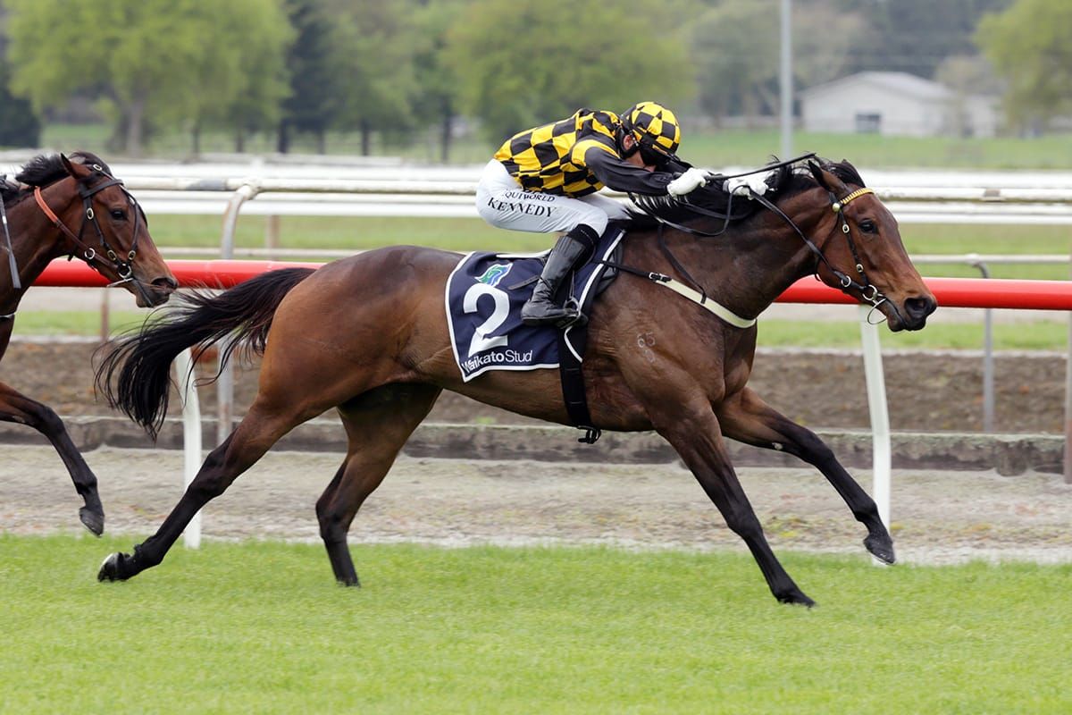Noble tasked with continuing Cambridge Stud’s hot spring