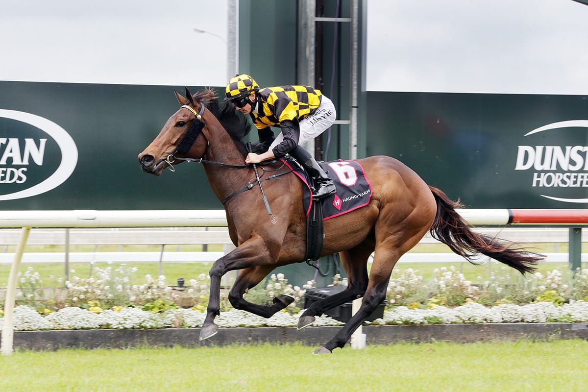 Luberon classy in the Counties Bowl
