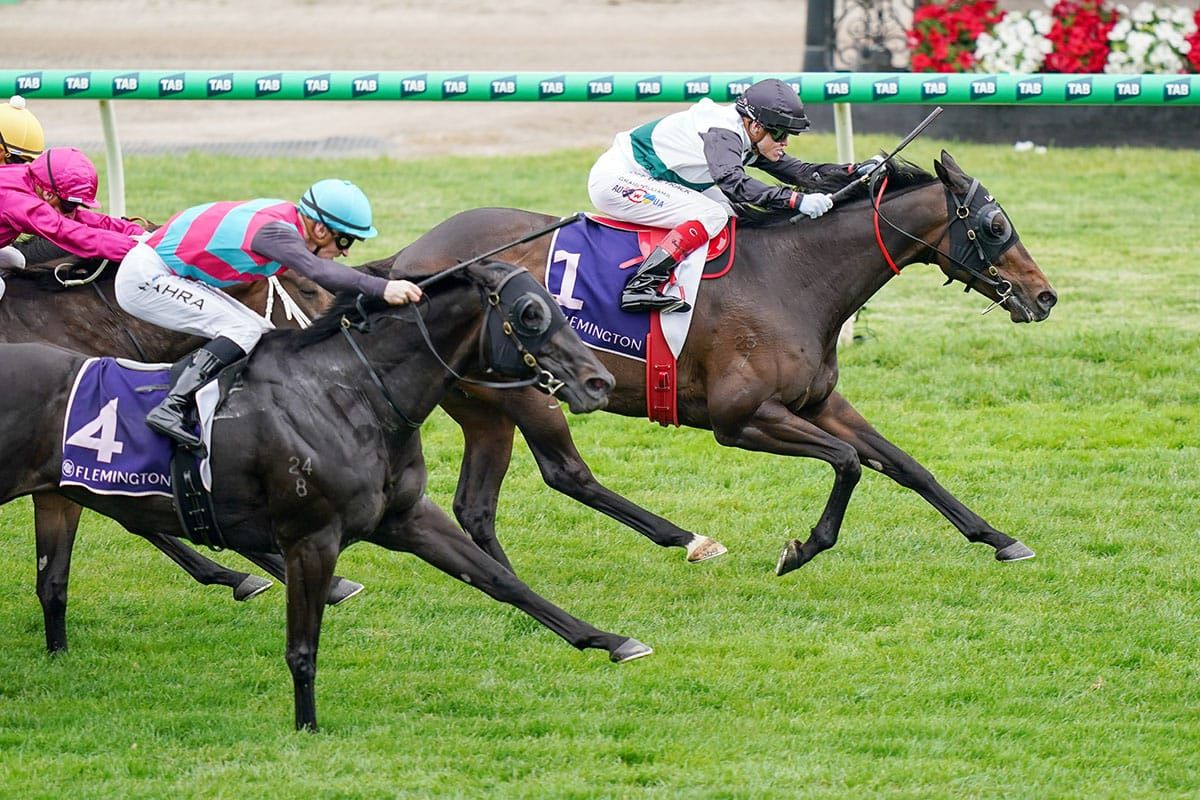 Miles ahead for Mr Brightside in 2025