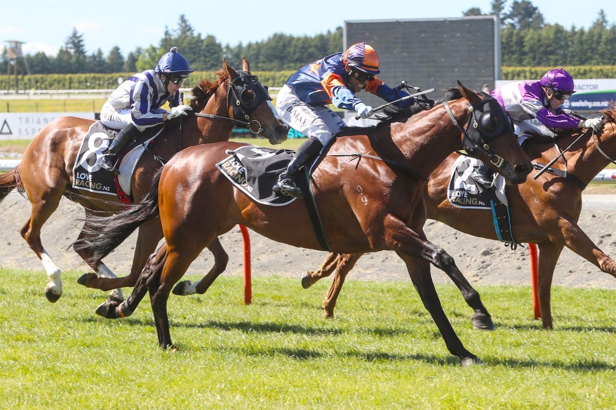 Faulkner hoping for luck at Riccarton