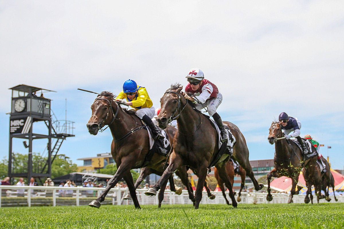 Progressive Ruakaka Raider scores at Caulfield