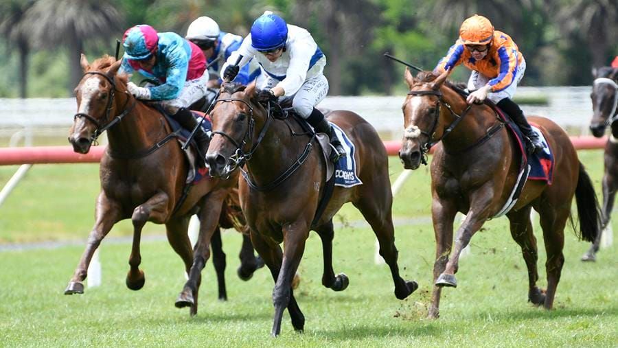 $1million NZB Kiwi Bonus Up for Grabs