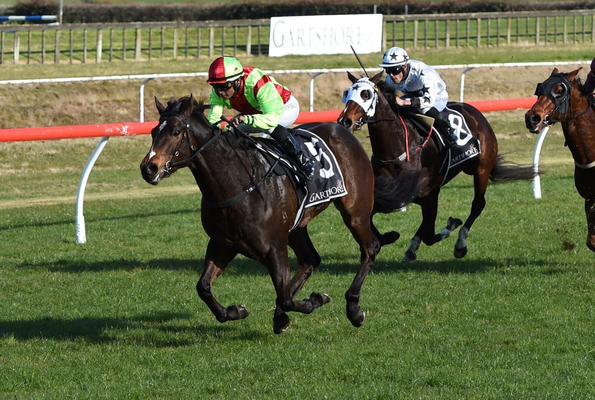 Twain impressive at Tauranga