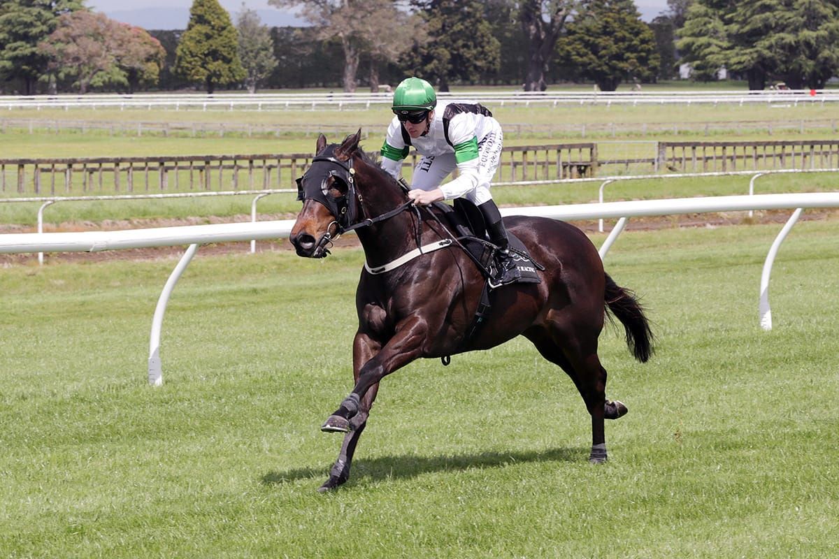 Stakes hopes in tip-top order for southern challenges