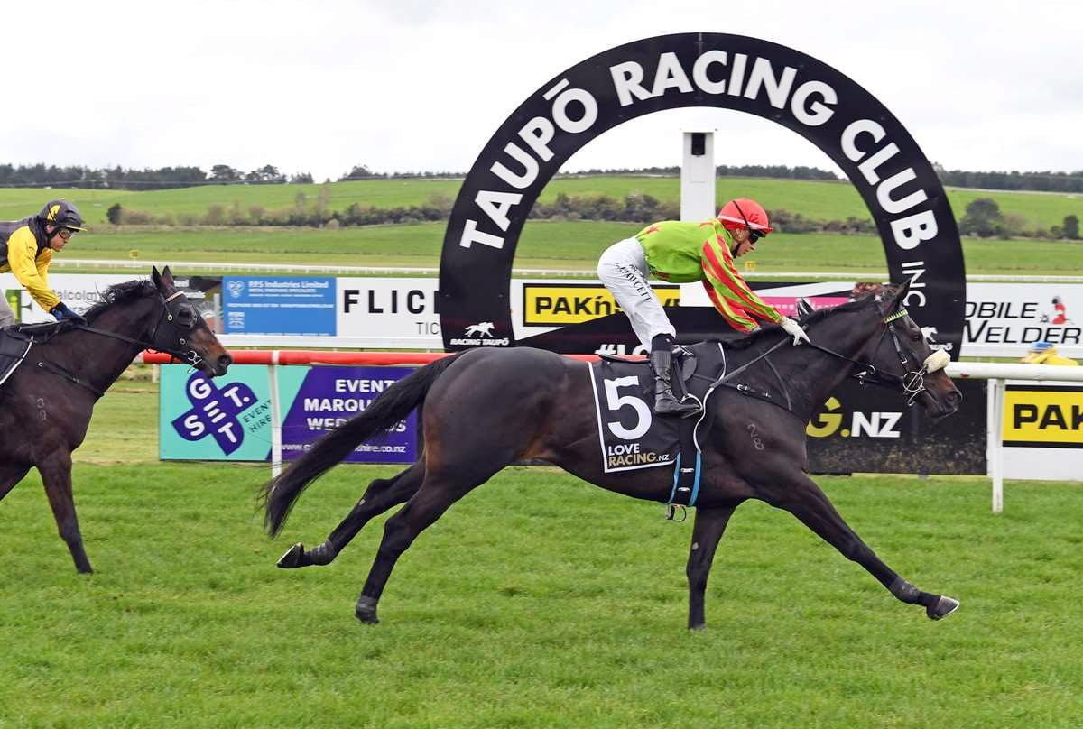 Phelan Eyes Gold at Tauranga