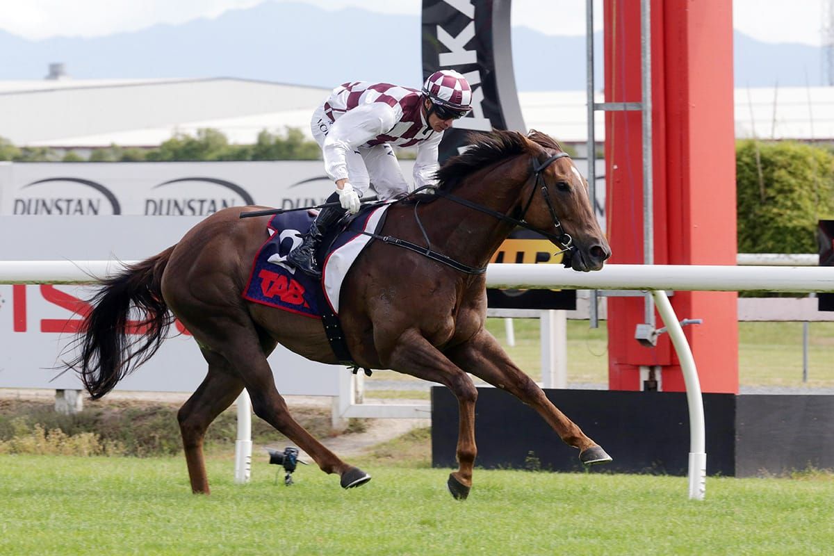 Top Sprinter Primed for Concorde Stakes