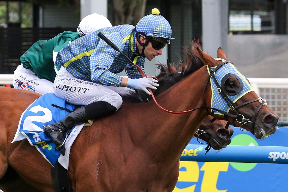 Centennial Park flags Kiwi credentials