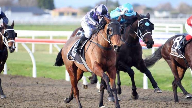 Mathews in high spirits ahead of Trentham