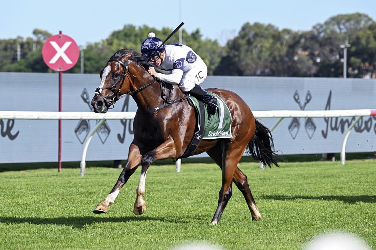 I’mintowin all the way again