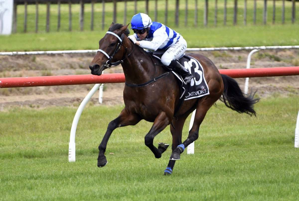 Island Life Returns to Fillies Company for Eulogy Stakes