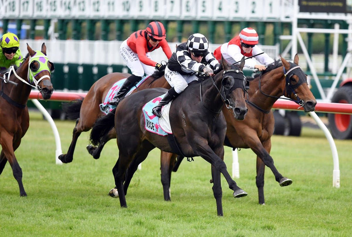 Islington Lass Shows Her Class in Manawatu Cup Victory