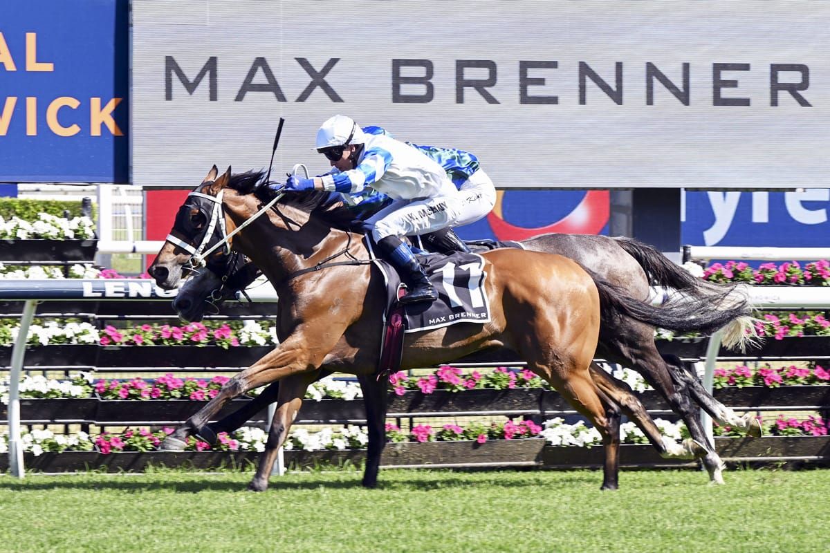 Well-bred stayer bags Christmas Cup